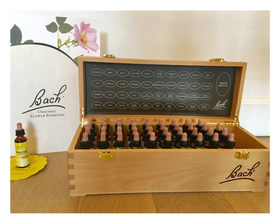 Image courtesy of the author